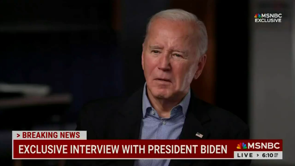 Joe Biden in MSNBC screenshot