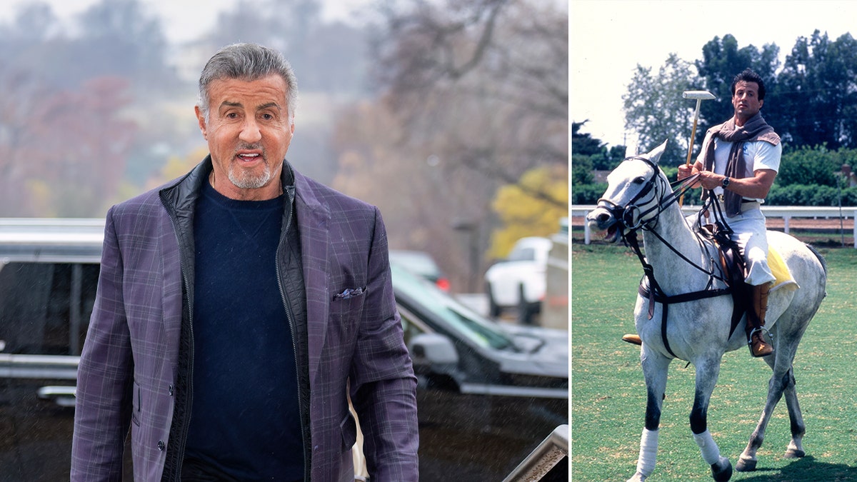 Side by side photos of Sylvester Stallone and a photo of Sylvester Stallone on a horse