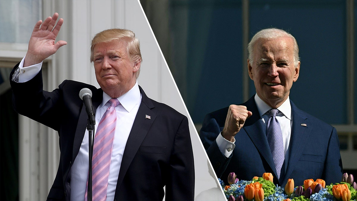 Trump and Biden divided  image