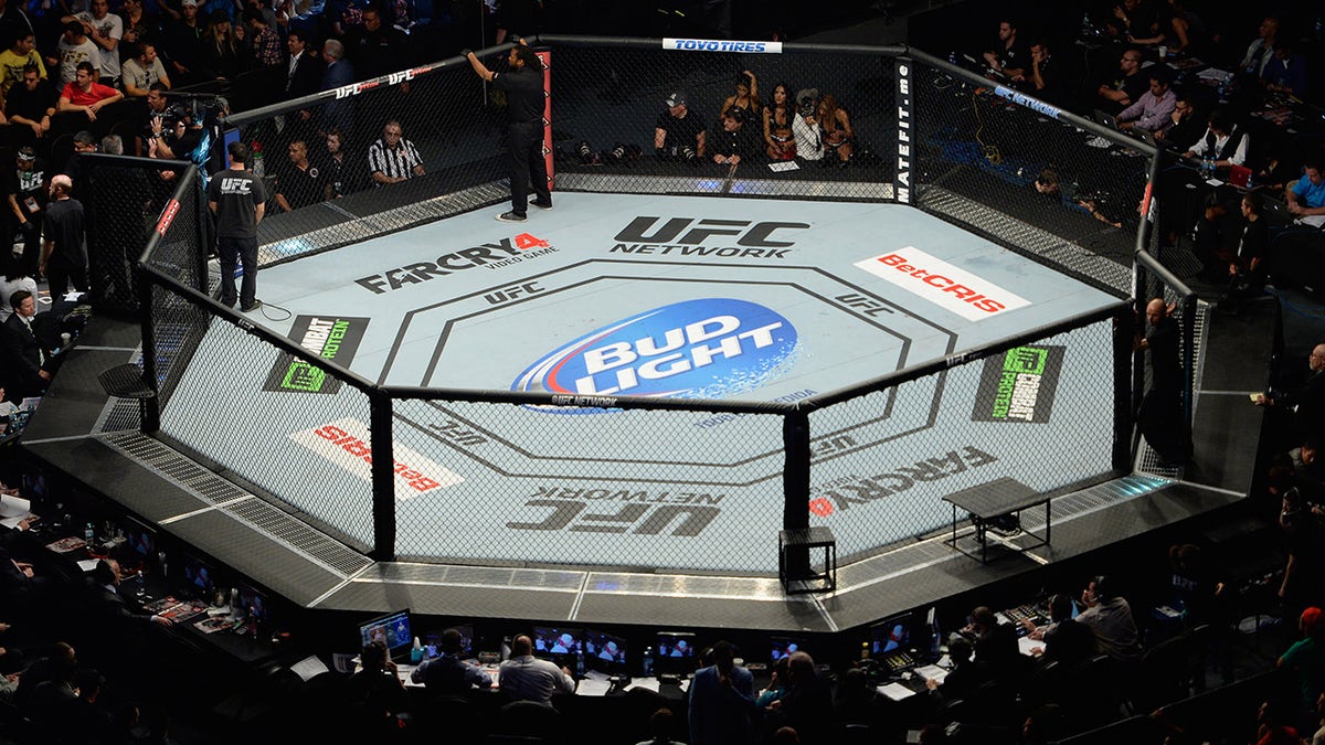 UFC 180 in 2014