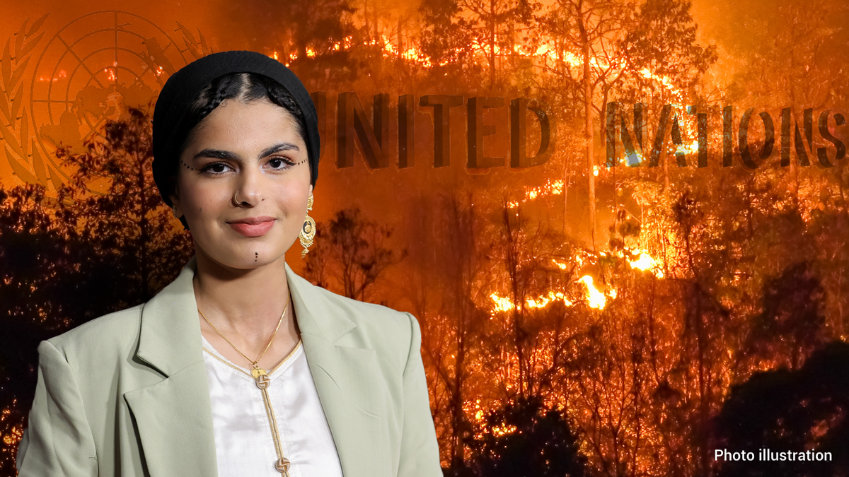 Ayisha Siddiqa Climate adviser at United Nations
