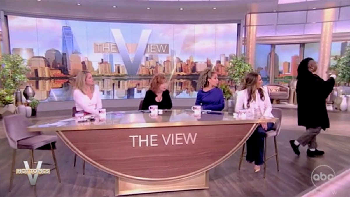 The co-hosts of 'The View'
