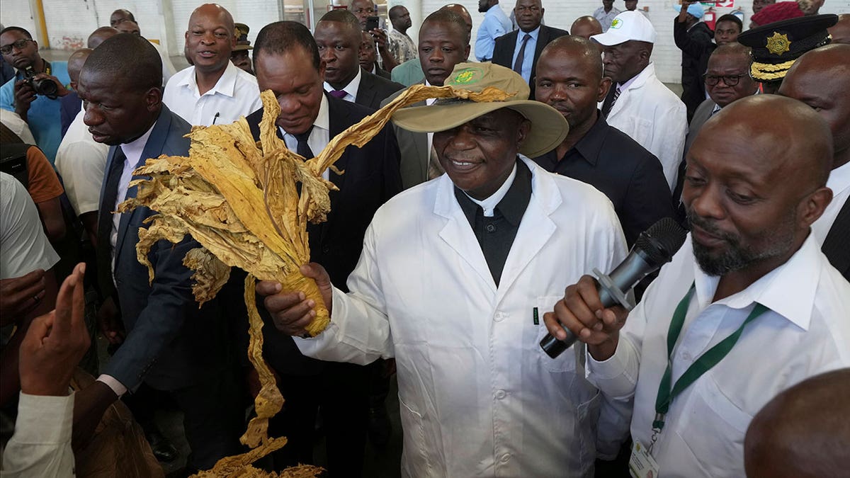 Zimbabwe Crops