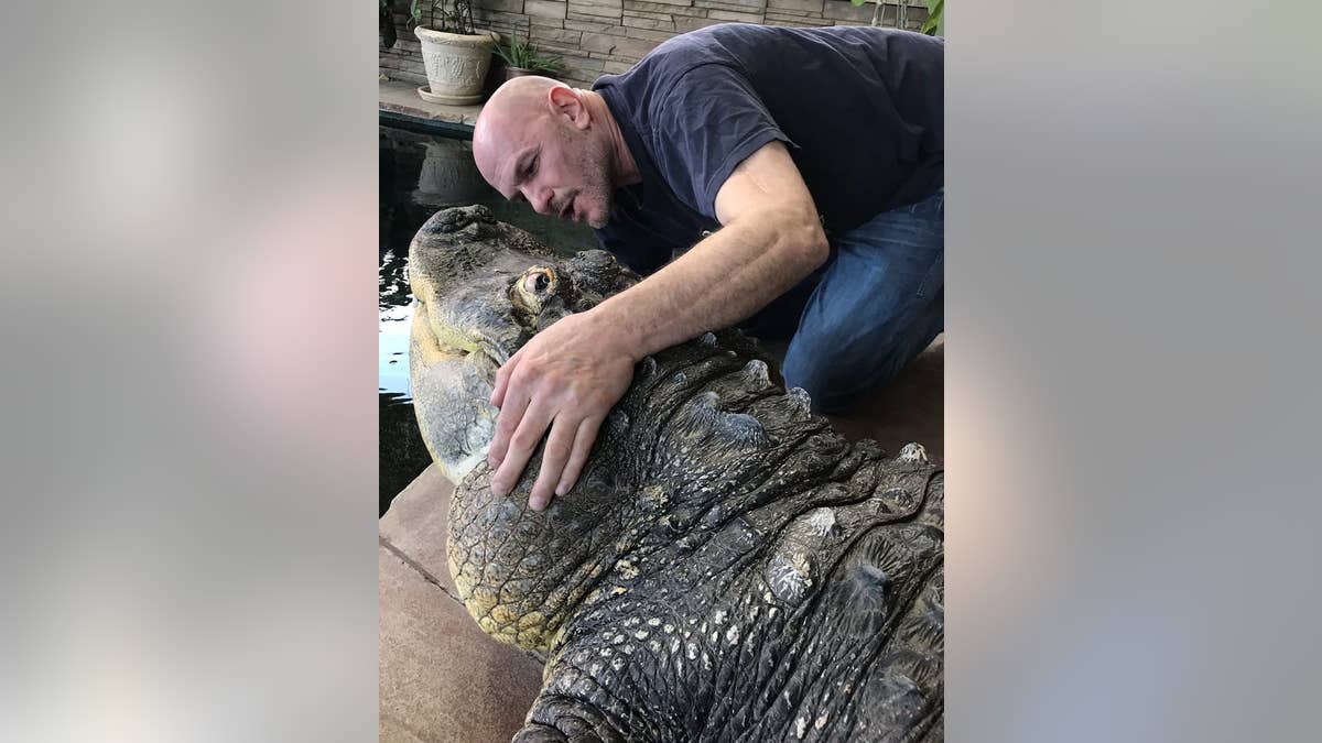 Albert the Alligator and his "dad" Tony Cavallaro