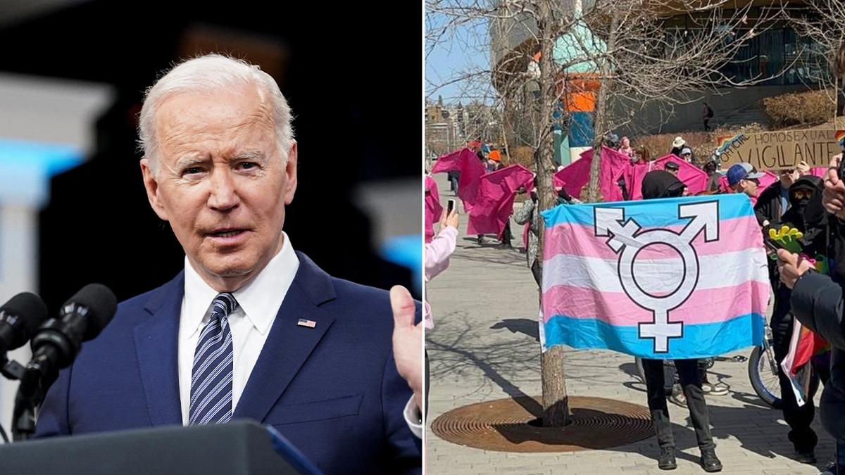President Biden, transgender flag
