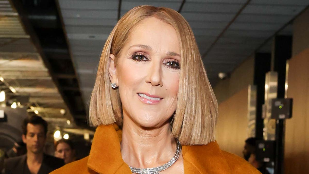 Celine Dion wraps up in brown coat for the Grammy Awards