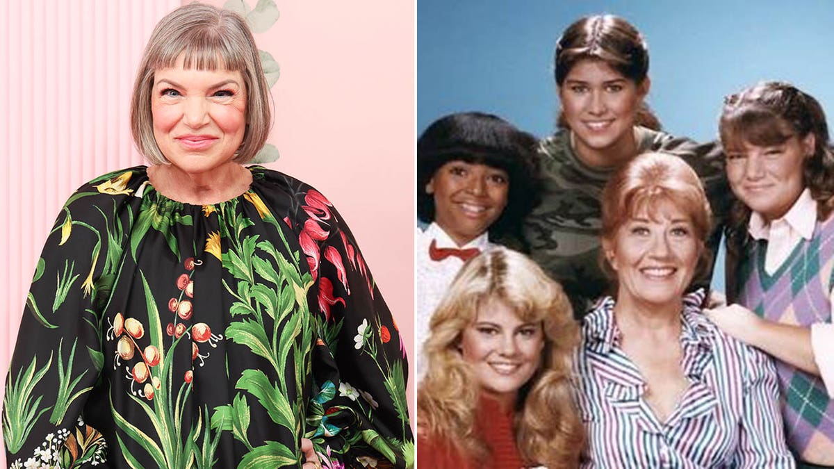 mindy cohn 2024/ cast of the facts of life