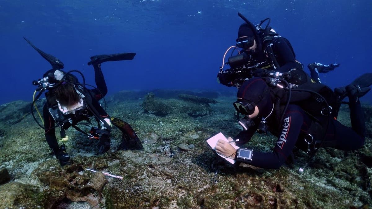 three divers documenting observations of the sea floor