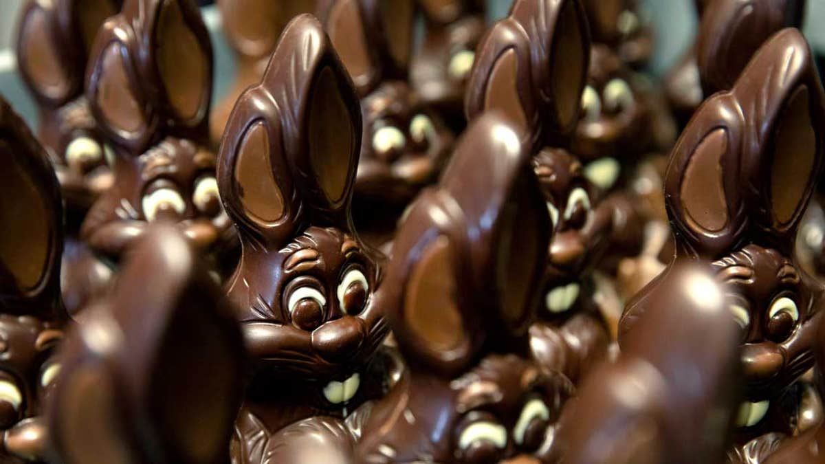 easter-bunny-chocolate-rabbits