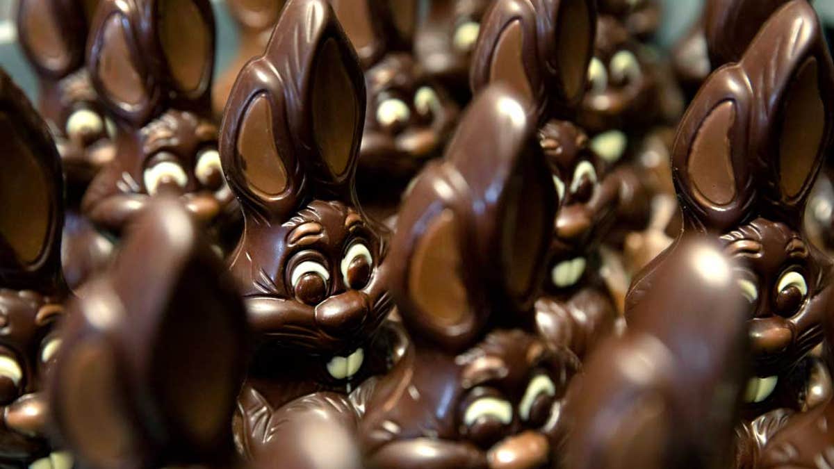 easter-bunny-chocolate-rabbits