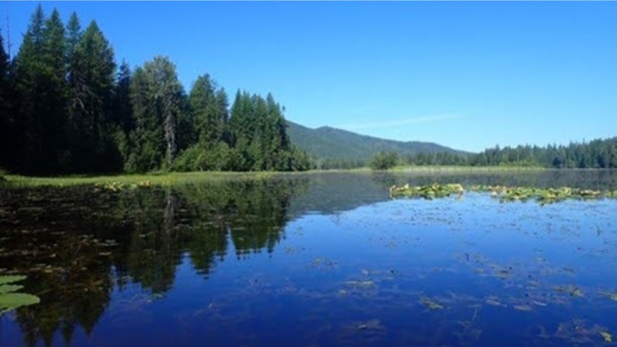 Big Meadow Lake