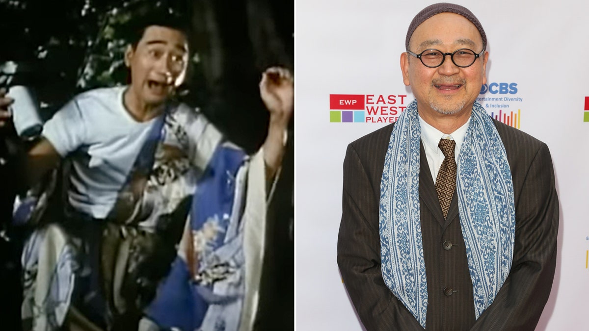 Gedde Watanabe then and now split