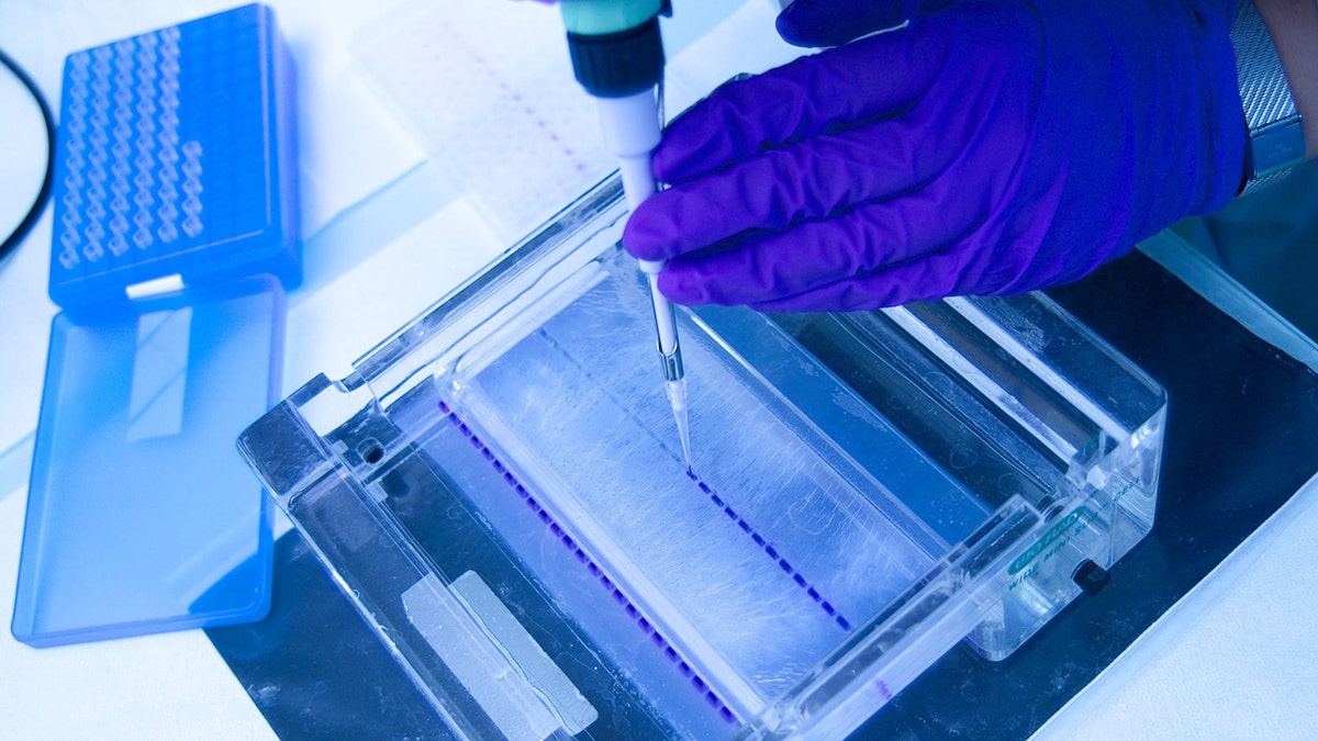 Genetics research