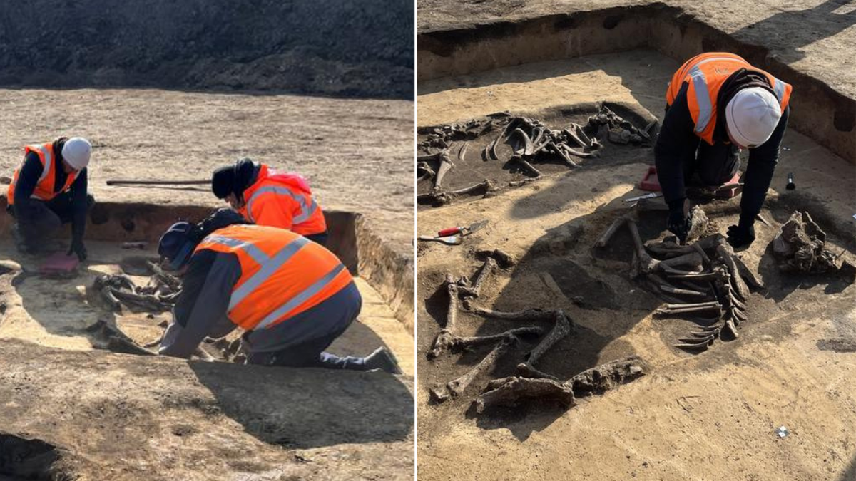 Split image of archaeologists working on dig