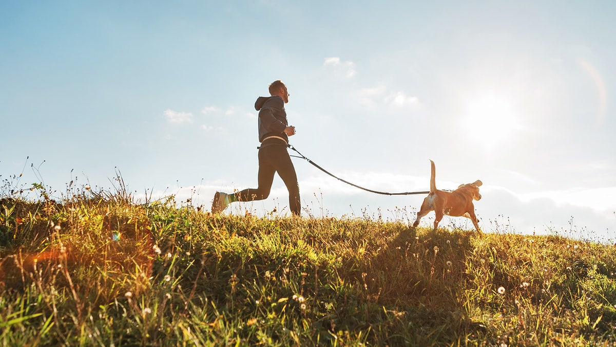 Hike, run and camp with these dog gear items. 