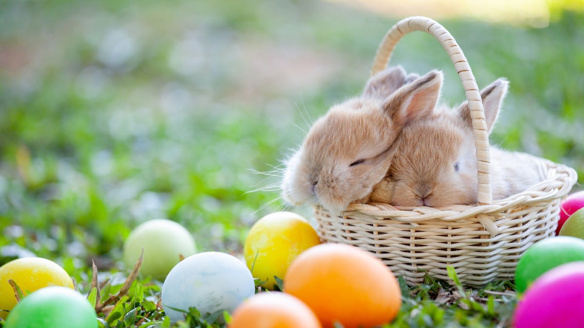 Easter scene with bunny and eggs