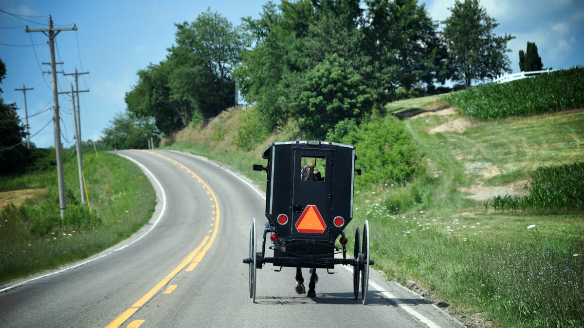 Amish Buggy