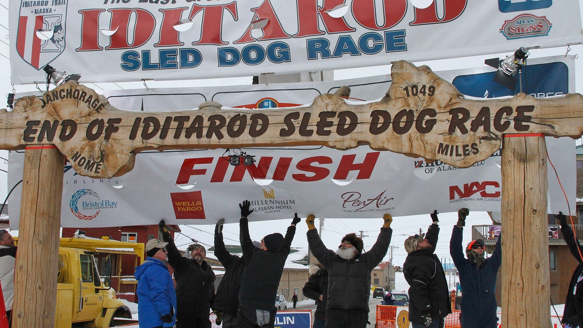iditarod-dog-race-peta