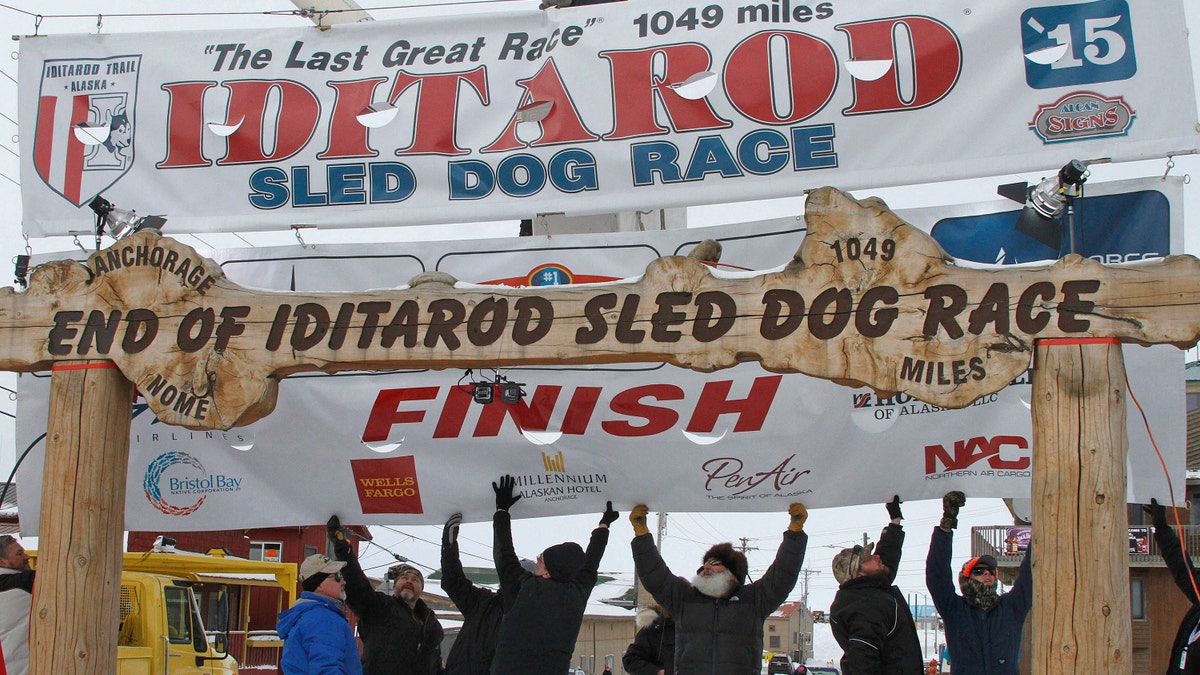 iditarod-dog-race-peta