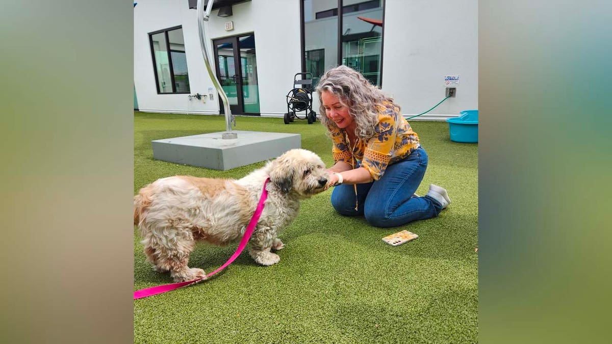Miami woman and dog reunite