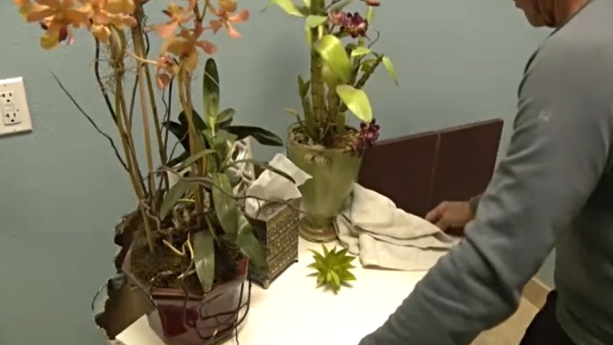 A hole in the wall seen behind a table with flowers on top