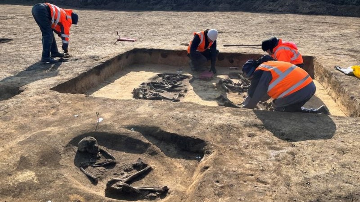 Wide image of excavators working near chariot grave