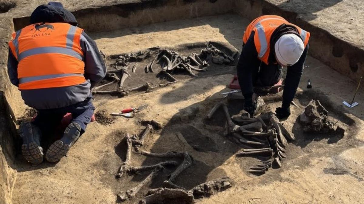 Birds eye view of workers near chariot grave