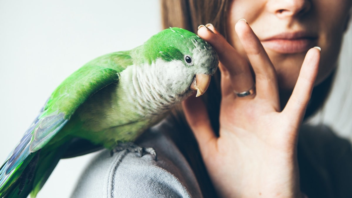 Woman with parrot