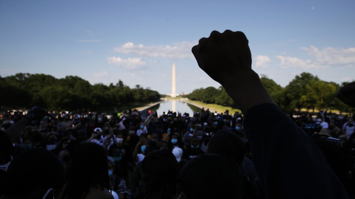 Protest at Lincoln Memorial