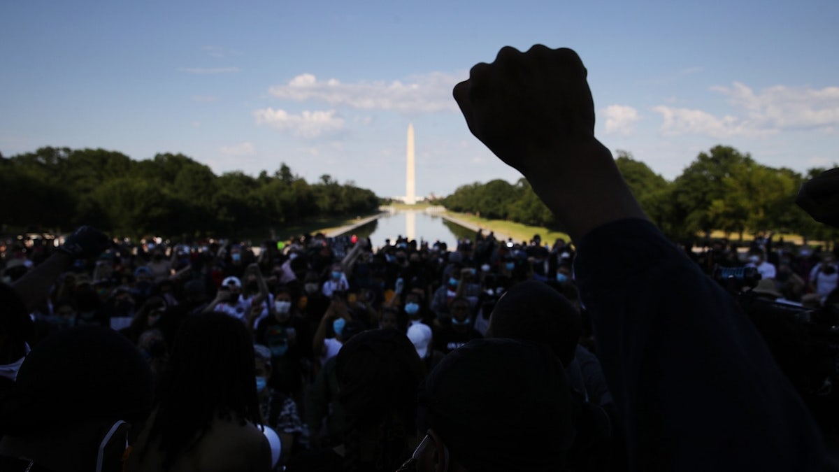 Protest at Lincoln Memorial