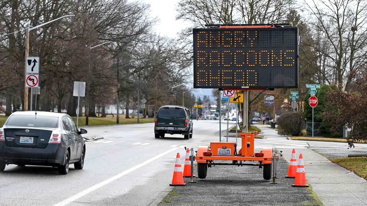 Sign reading 'Angry Raccoons Ahead'