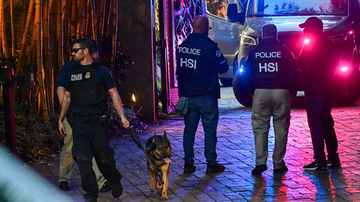 HSI agents stand outside Diddy home at night with a police K9