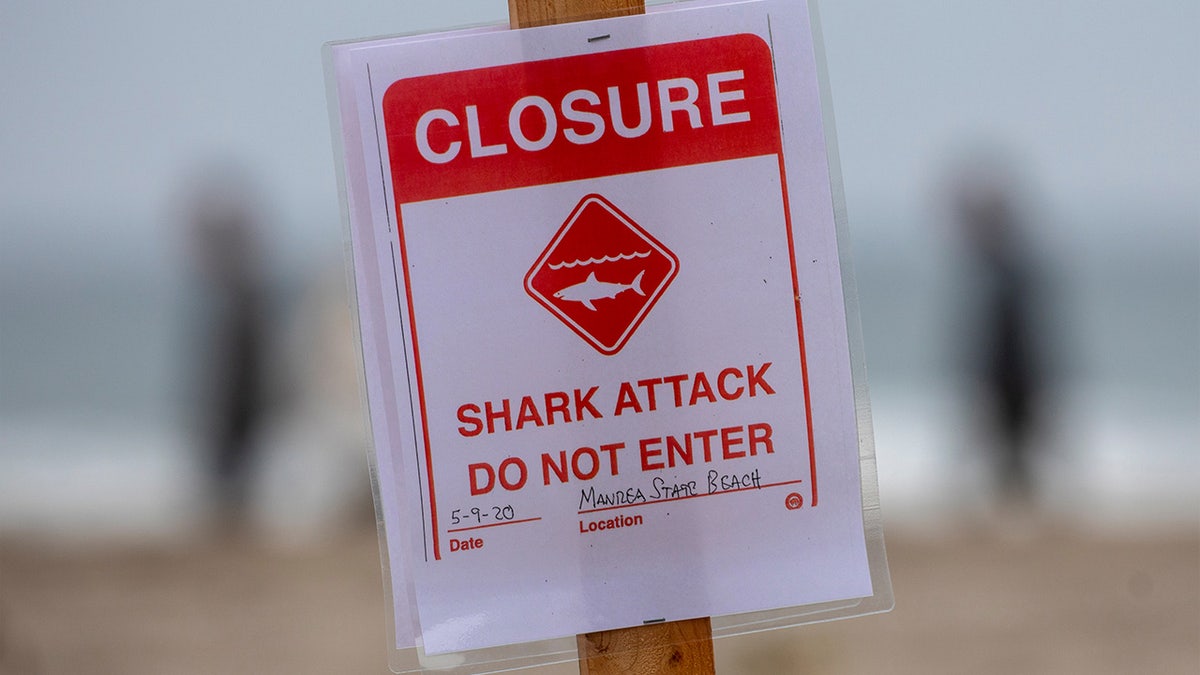 Shark attack signage