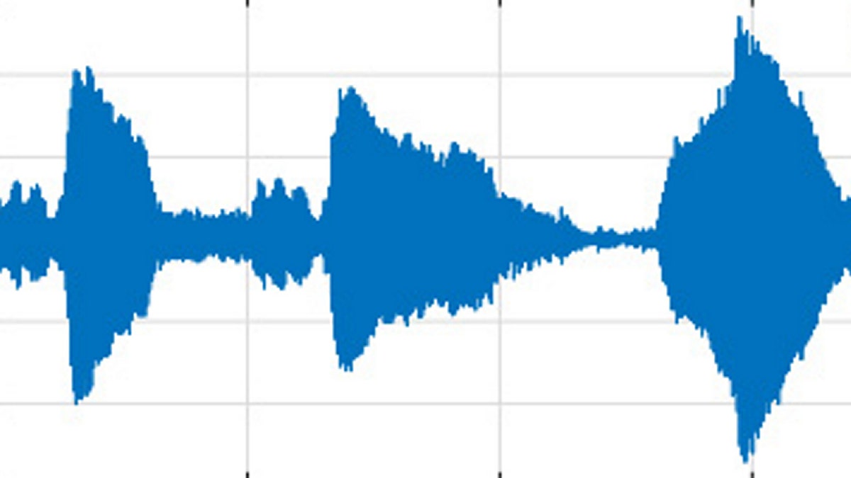 Tremor waveform