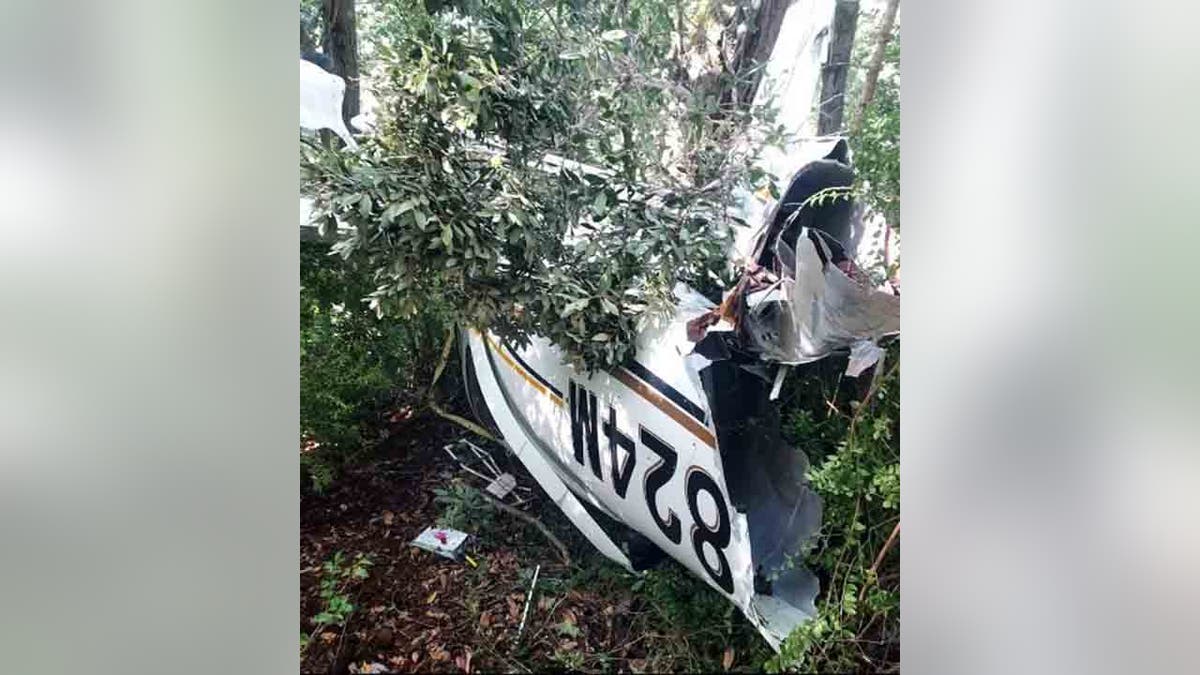 plane wreckage in wooded area