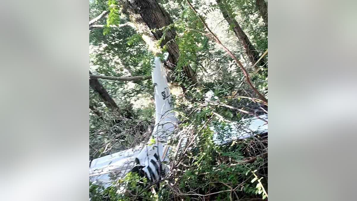 plane wreckage in wooded area