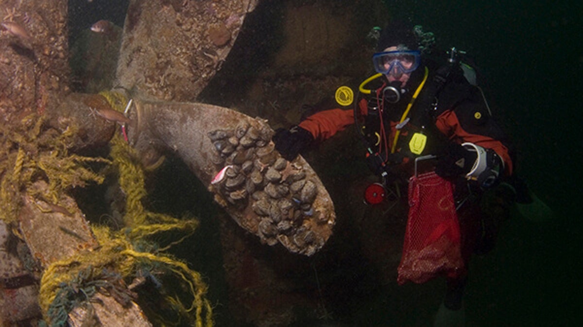 The propeller of the trawler Josephine Marie, which sunk 105 feet underwater upside down.