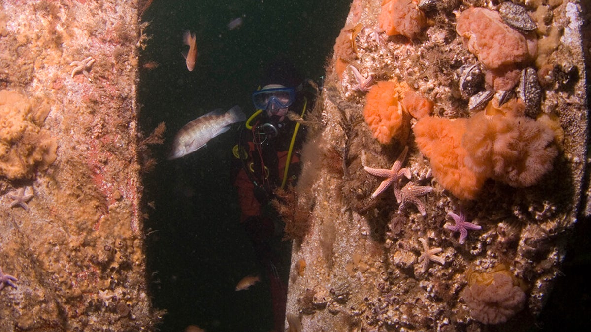 "The currents are swift around the site, therefore dives need to be timed to slack water," according to NOAA.