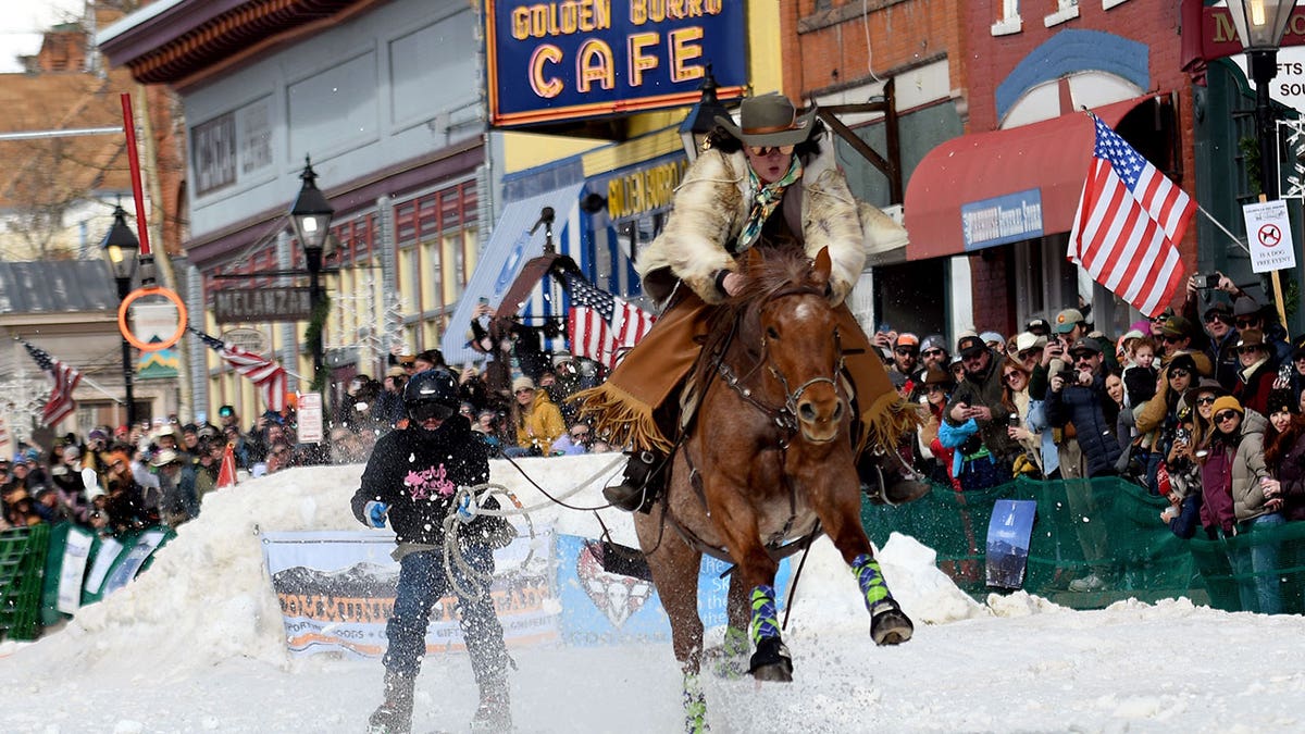 Skijoring team