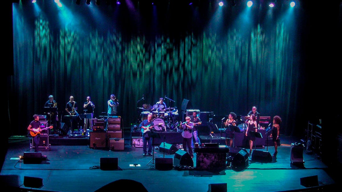 Steely Dan performing