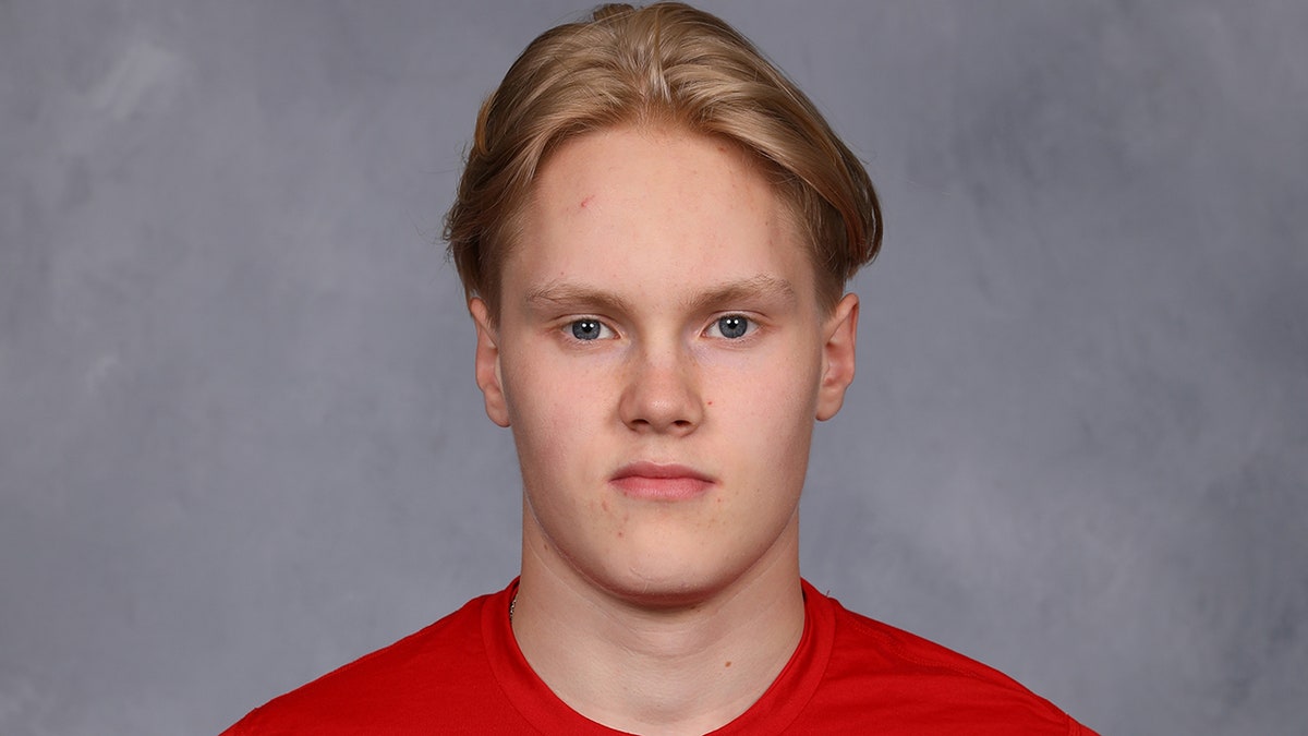 Topi Ronni NHL headshot