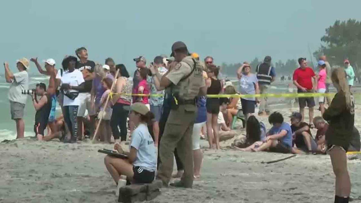 crowds gathered on beach