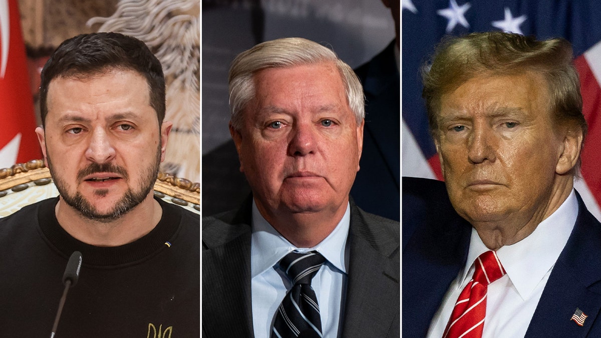 President Zelenskyy, Lindsey Graham, and Donald Trump