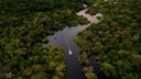 Thousands of acres of Amazon rainforest cleared for climate summit highway in Brazil