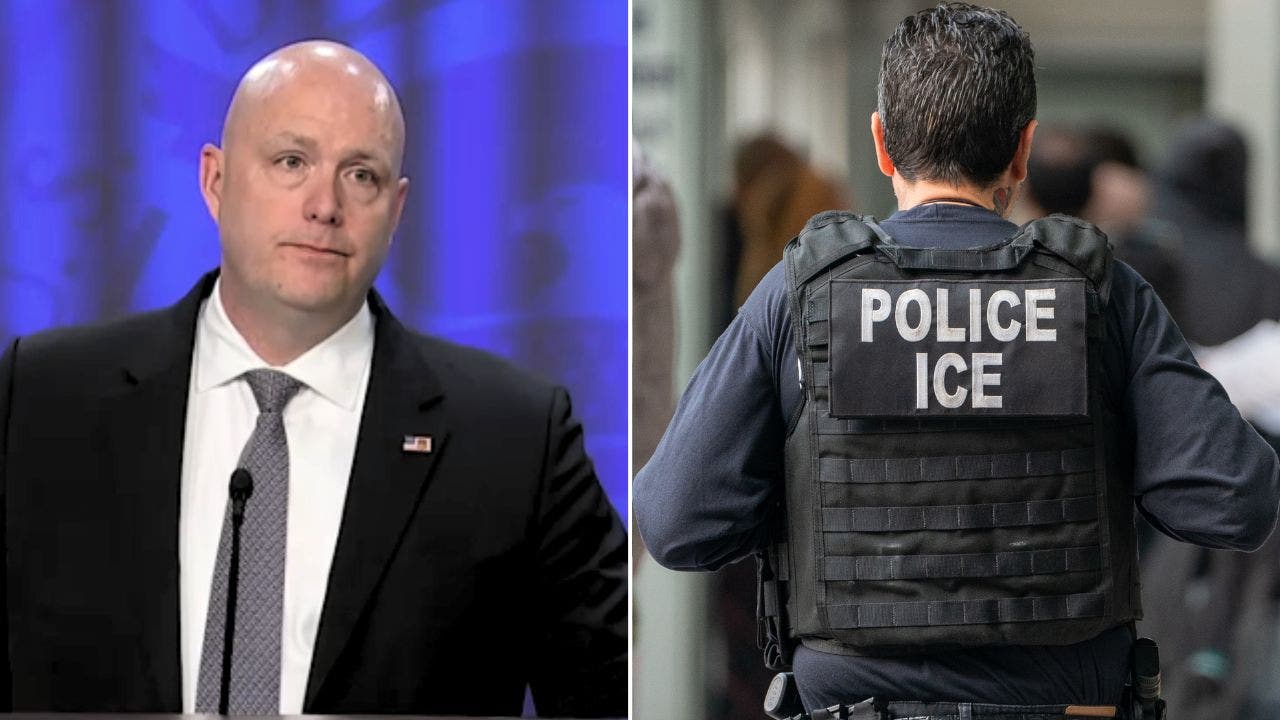 ICE arrests 216 illegal migrants with cocaine, fentanyl and heroin  convictions