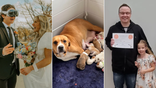Apple vision pro headset wedding, pregnant dog, hair workshop dad certification