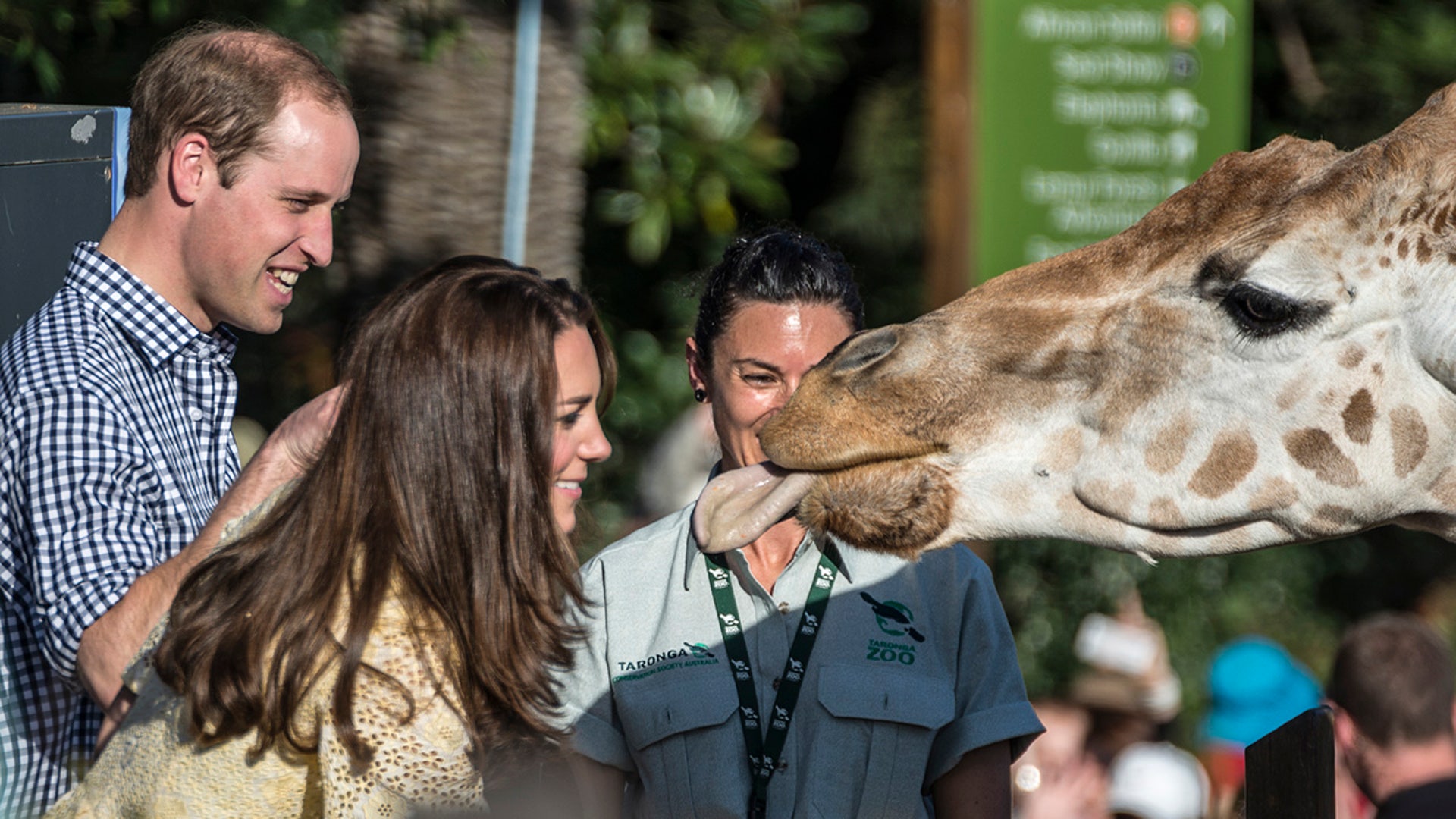 A giraffe sticks out its tongue at Kate Middleton while Prince William looks on