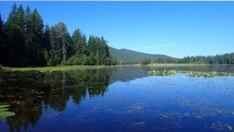 Washington sheriff receives bizarre Sasquatch call from curious hunter