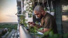 10 Amazon finds that can help you build a garden no matter how small your space