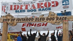 PETA calls for end of Alaska's Iditarod race following death of 2 dogs